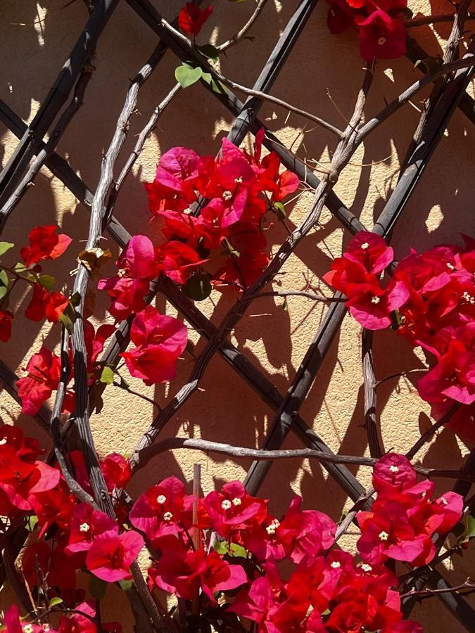 Agriturismo Le Merline Arnasco 外观 照片