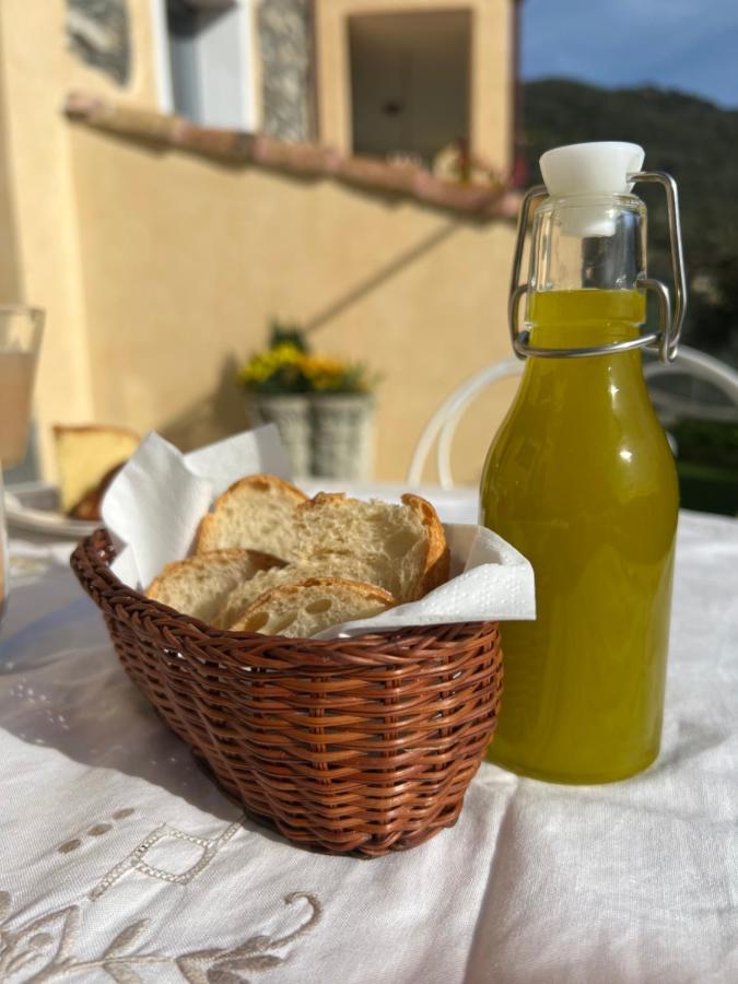 Agriturismo Le Merline Arnasco 外观 照片
