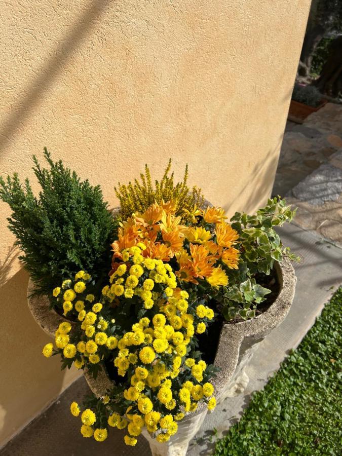 Agriturismo Le Merline Arnasco 外观 照片
